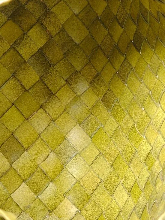 Dragon Diffusion Bamboo Green Woven Leather Baguette Bag - Picture 9 of 12